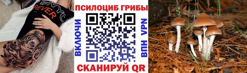 Галлюциногенные грибы MAGIC MUSHROOMS  Ивдель 